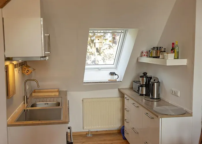 Tolstefanz Lejlighed Küsten